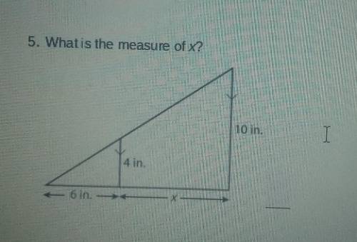 What is the measure of x?