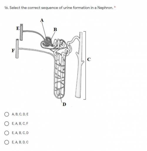 Select the correct sequence of urine formation in a Nephron from the diagram given below PLS ANSWER