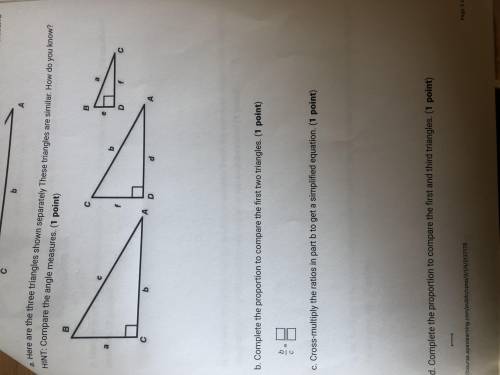 I really don’t understand these 3 questions please help.