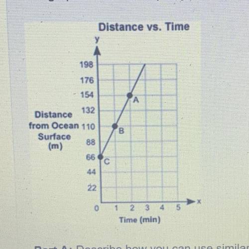 The graph shows the depth y in meters of a shark from the surface of an ocean for a certain amount