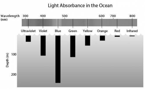 I need help as soon is possible pls A physicist is studying light absorbance in the ocean. He g