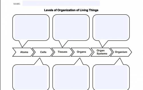 Levels of Organization of Living Things Now that you have learned about tissues, organs, and system