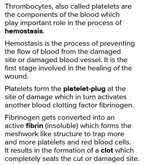 Which component of blood consists of cell fragments and is the main contributor to healing cuts?