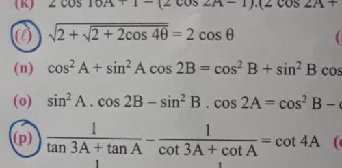 The questions no l and p.please help me as soon as possible
