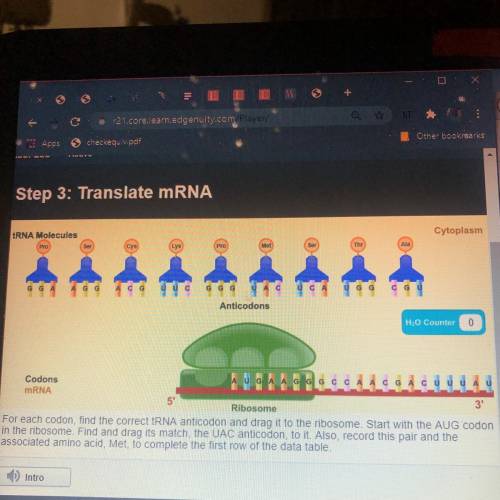 Step 3.

Cytoplasm
tRNA Molecules
Thr
Ala
Anticodons
H0 Counter
0
Codons
UGAA
mRNA
3
Ribosome
For