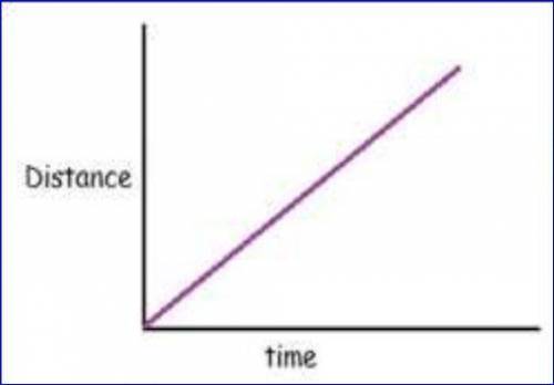 What does the area under a distance-time graph signify?