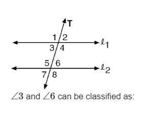 ∠3 and ∠6 can be classified as: