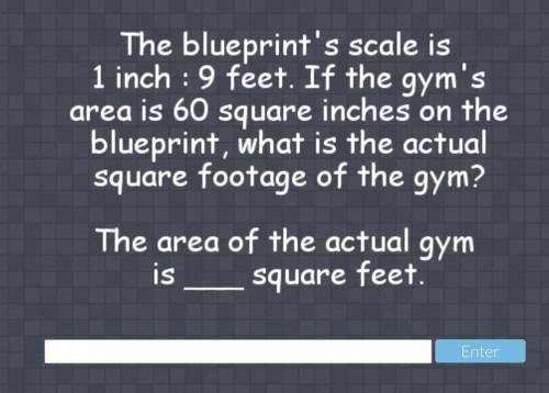 Find the area of the ACTUAL gym