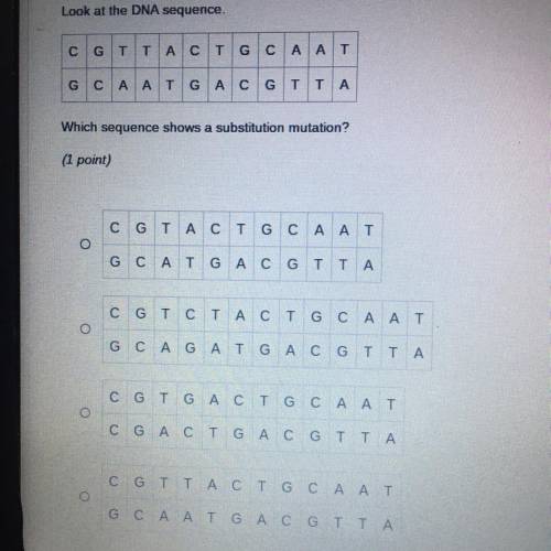 Which sequence shows a subsitutuon mutation