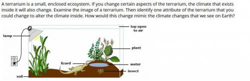 A terrarium is a small, enclosed ecosystem. If you change certain aspects of the terrarium, the cli