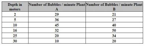 How many bubbles would both plants produce at the following depths: - 13 meters, 20 meters, 28 met