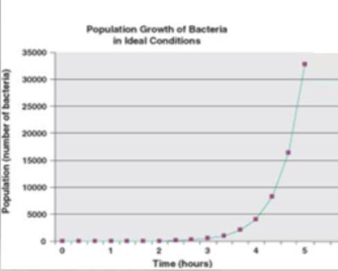 if the bacteria population is doubling every hour, can you estimate the bacteria population at the