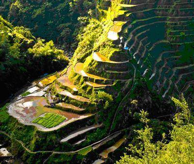 Examine the following image of terrace farming in Asia. Consider the six essential elements of geog