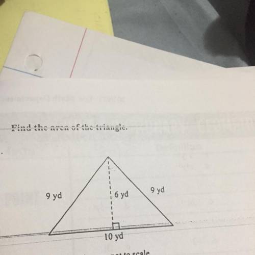 41. Find the area of the triangle. 
a. 30 yd 
b. 45 yd
c. 28 yd 
d. 60 yd