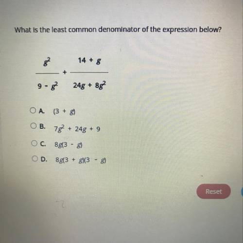 What is the least common denominator of the expression below?

g^2 14+g
_____ + _____
9-g^2 24g+8g