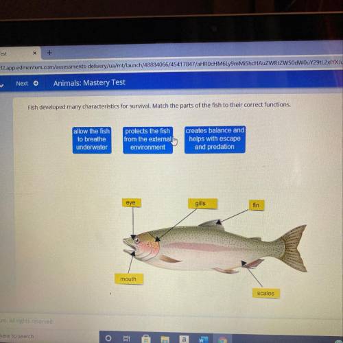 Fish developed many characteristics for survival. Match the parts of the fish to their correct func