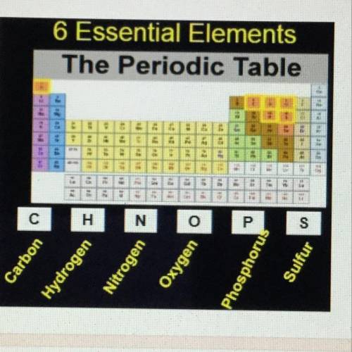The six essential elements are shown in Image 2. Which two elements

MUST be present for a molecul
