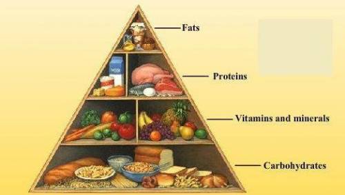 Submit the homework by drawing in the copy and upload (question .Draw a food pyramid with the source