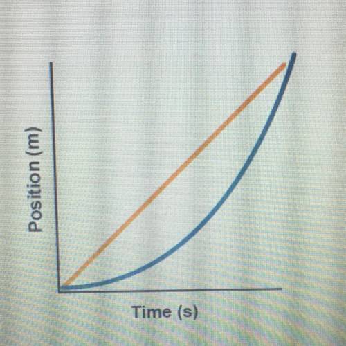 Maia says that both lines on this position vs

time graph show acceleration. Is she
correct? Why o