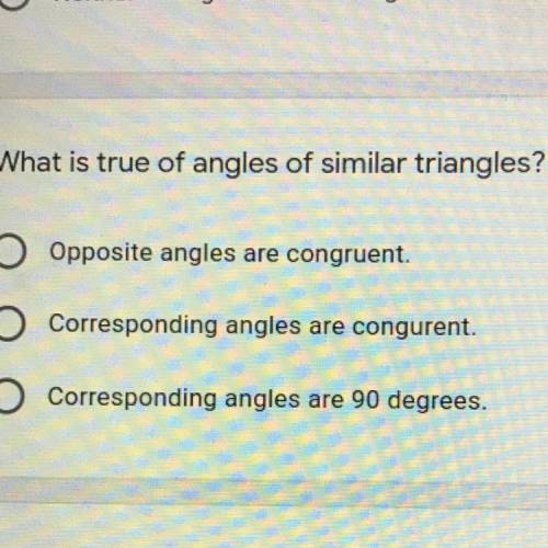 What is true of angles of similar triangles?