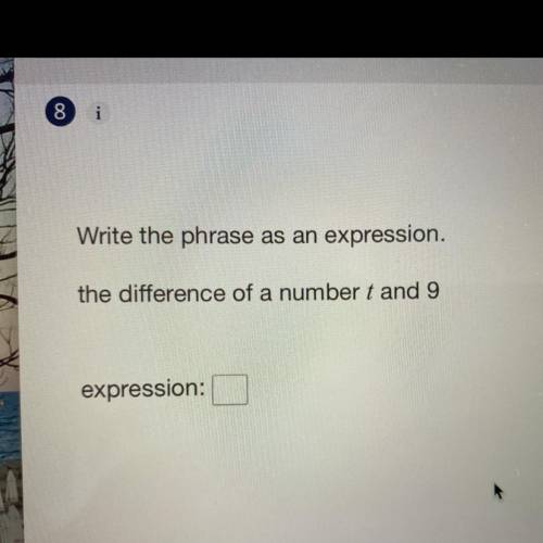 Write the phrase as an expression.
the difference of a number t and 9