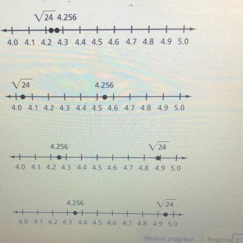 Choose the number line that correctly compares 24 and 4.256