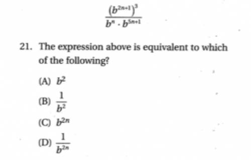 I am really confused with this question. Please help me.
