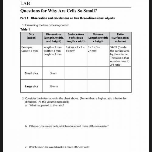 Why are cells.so small biology 1 semester 1. 3.4.3