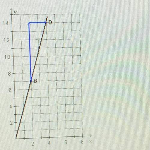 HELP ASAP

What do the differences between the points (as shown on the graph) represent?
TY