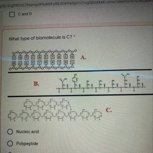 What type of biomolecule is C?*

A.
B.
C.
Nucleic acid
O Polypeptide
O Polysaccharide
O Lipid