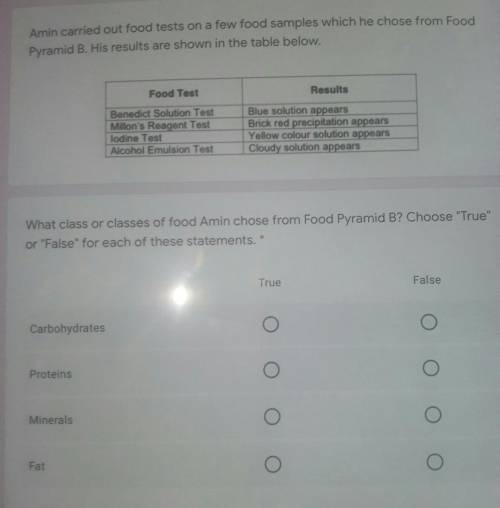 Amin carried out food tests on a few food samples which he chose from Food Pyramid B. His results a
