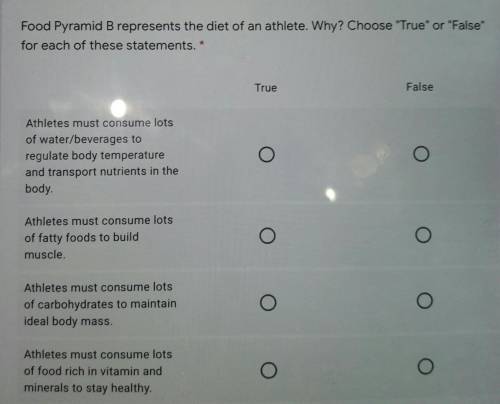 Food Pyramid B represents the diet of an athlete. Why? Choose True or False

for each of these