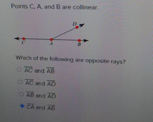 Points C, A, and B are collinear. Which of the following are opposite rays? O AC and AB O AC and AD