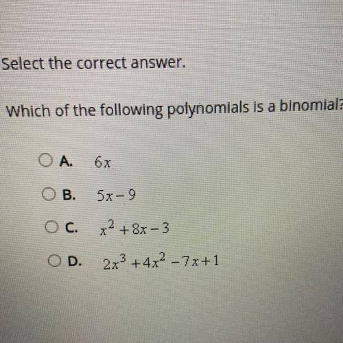 Which of the following polynomials is a binomial?