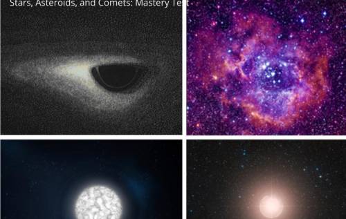 Name and describe each star phase.

1. Red supergiant 
2. Black hole
3. White dwarf 
4. Planetary