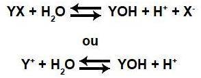 No exemplo a seguir o cátion (Y) do sal interage com o ânion hidróxido (OH-) proveniente da água, e