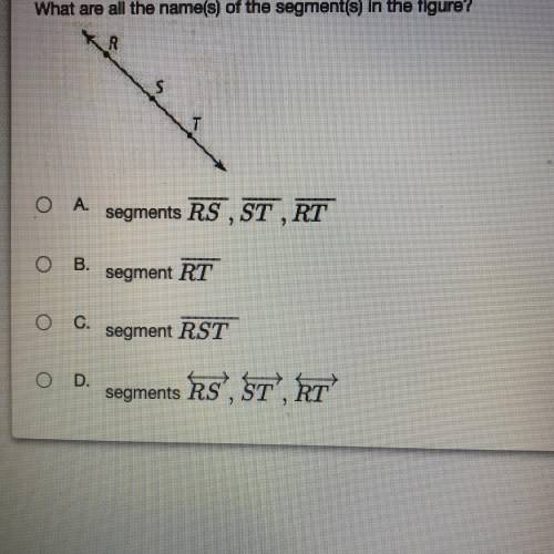What are all the name(s) of the segment(s) in the figure?