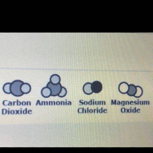 Look at the picture. Assume that all of these substances are in different containers. In all of

t
