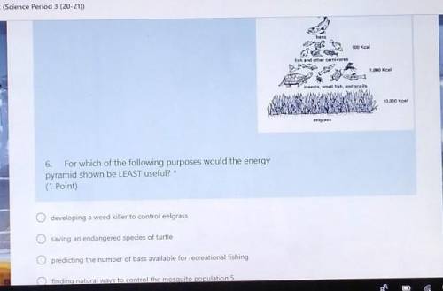 For which of the following purposes would the energy pyramid shown be LEAST useful? (1 Point)

PLE