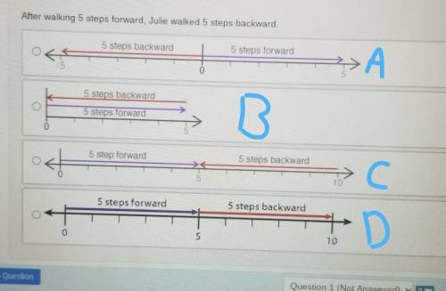 Choose a number line to model the following situation. After walking 5 steps forward, Julie walked
