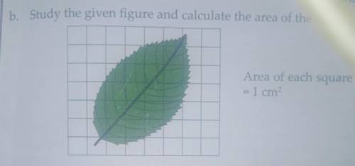 B. Study the given figure and calculate the area of the leaf

Area of each square=1 cm, help me;-)
