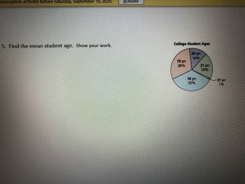 Find the mean student age. Show your work