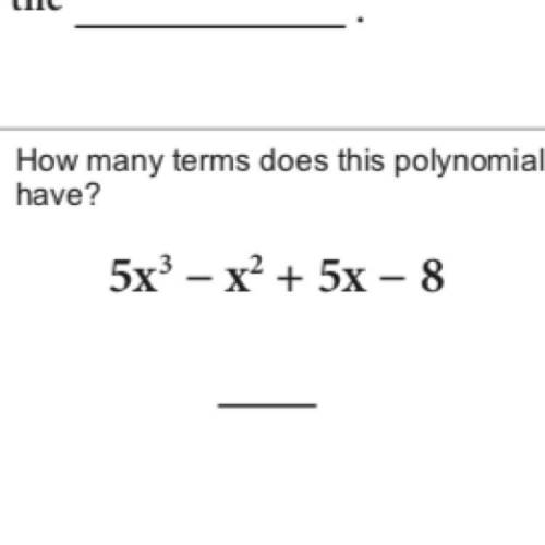 How manny terms does this polynomial have? Explain why