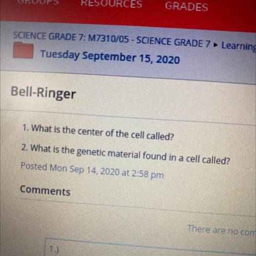 What is the center of a cell called