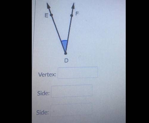 ‼️Name the vertex and sides of the angle below
