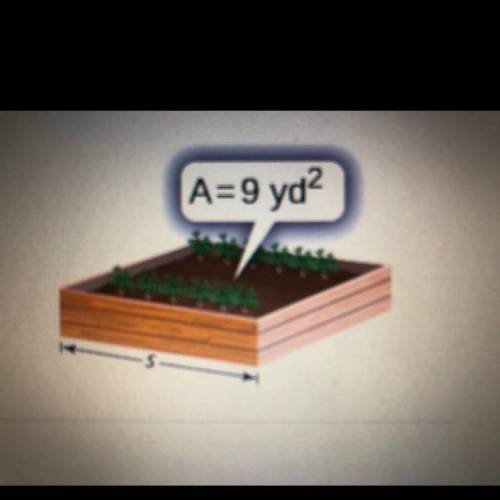 The area of a square garden is 9 yd2. How long is each side of the garden?