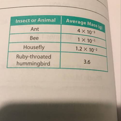 The average masses of several insects or animals

are shown in the table. The average mass of a
hu