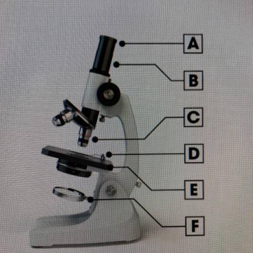 Identify the objective lens of the compound light microscope. (1 point)

Part A
Part B
Part C
Part