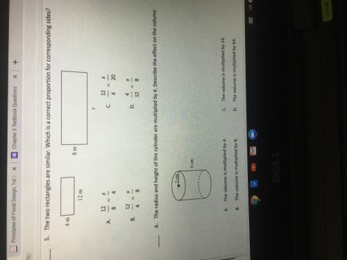 Can someone please do question 5 and 6, thank you!