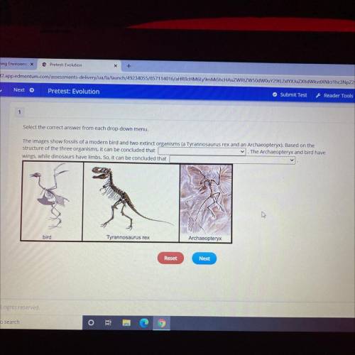 Select the correct answer from

.
The images show fossils of a modern bird and two extinct organis